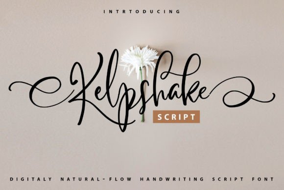 Kelpshake Font for Web Design