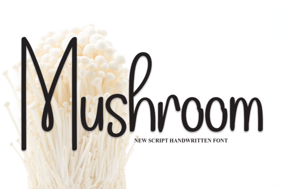 Mushroom Font: Elegant Script for Business