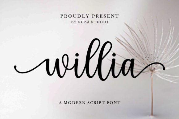 Willia: A Magical Script Font for Web Design